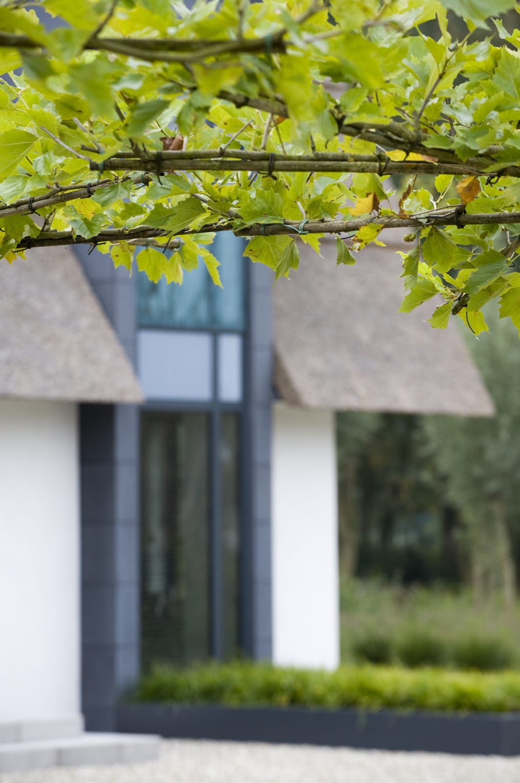 With a view afbeelding 1