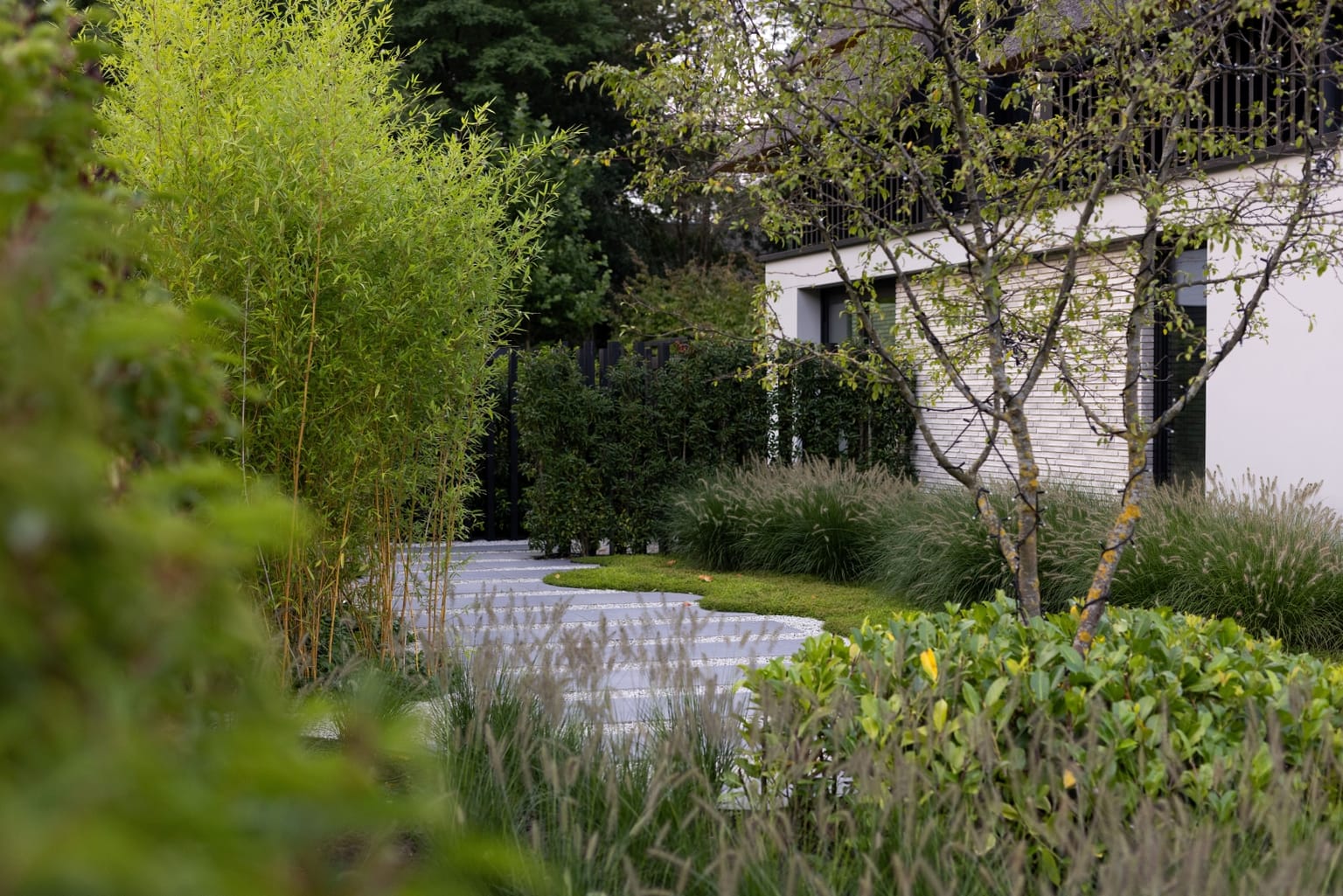 Collaboration between lines afbeelding 2