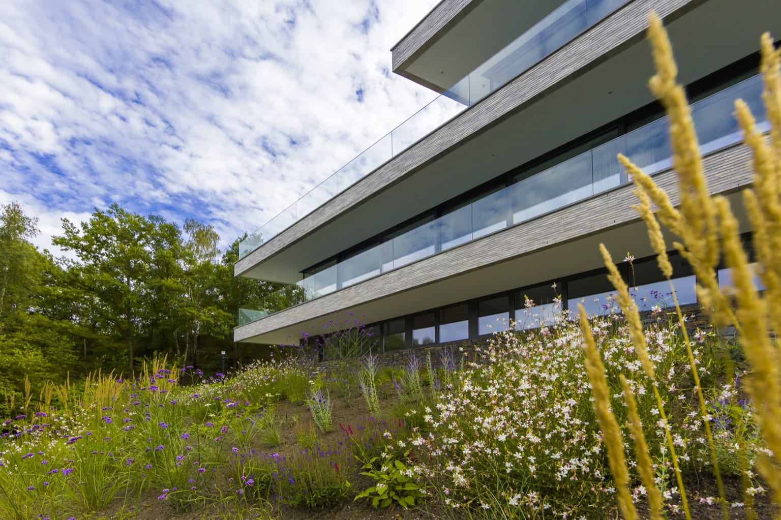 Hoogteverschillen afbeelding 7