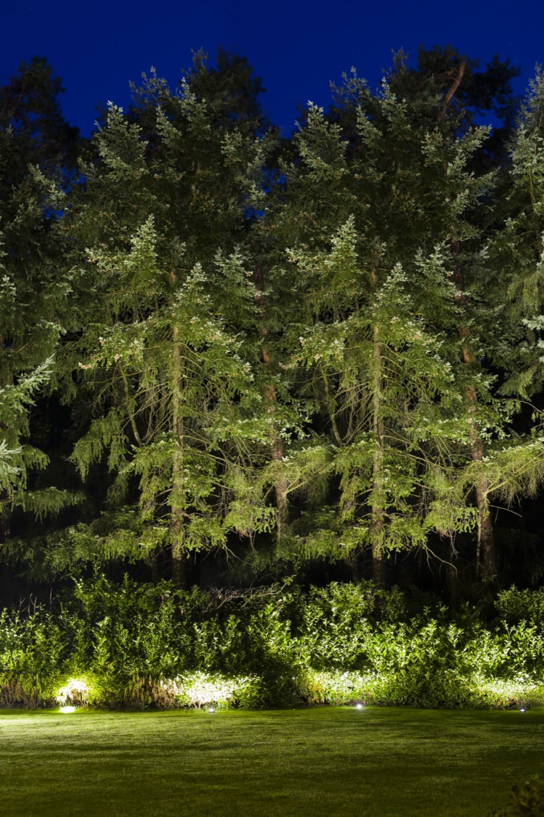 It's in the details afbeelding 3