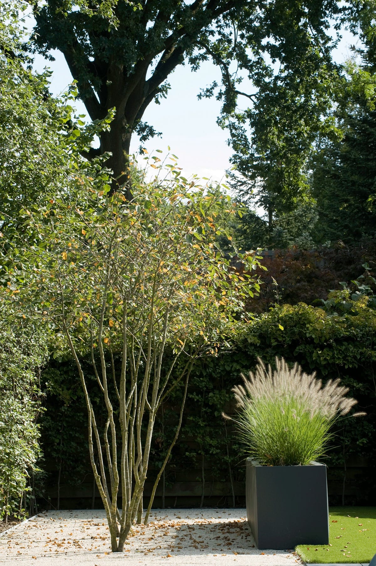 In de wolken afbeelding 9