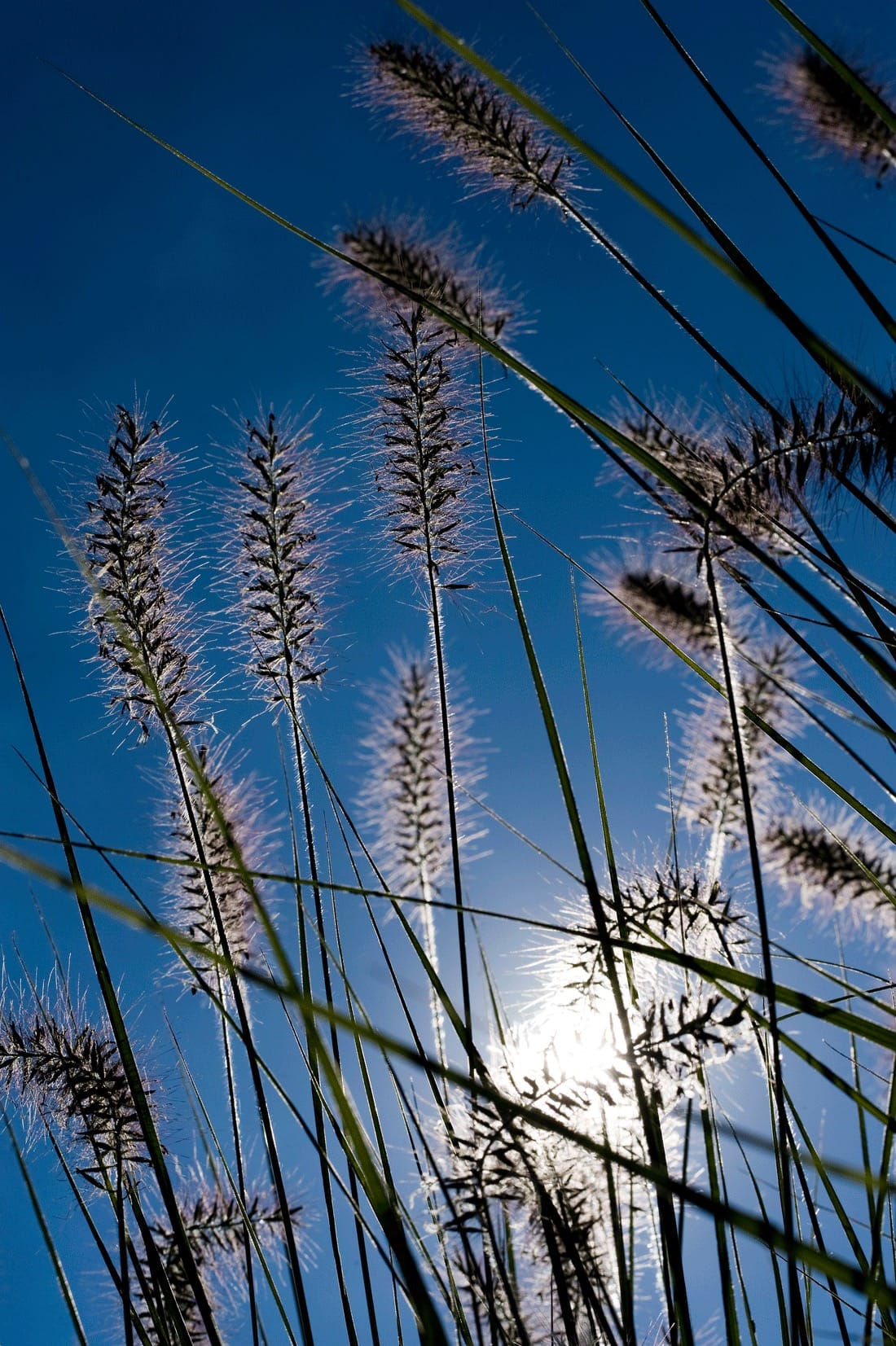 In de wolken afbeelding 8