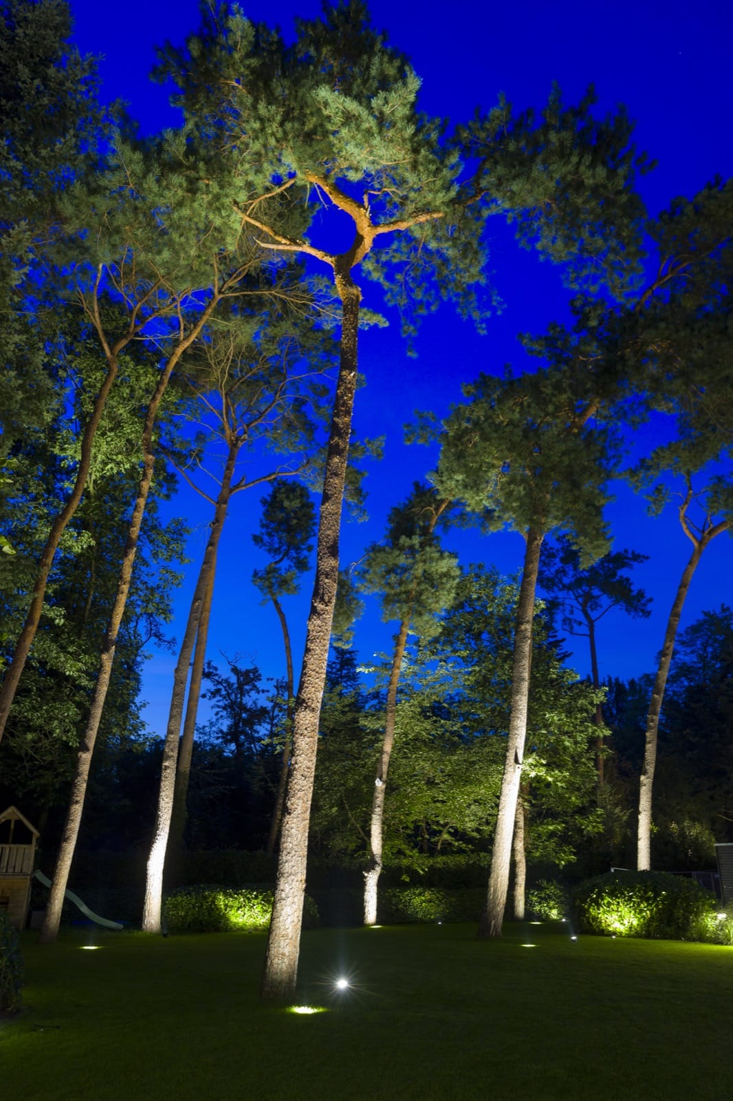 Oase in het bos afbeelding 4